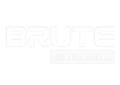 Brute logo - NxGN Solutions client