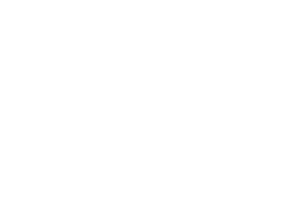 Twinsaver logo - NxGN Solutions client